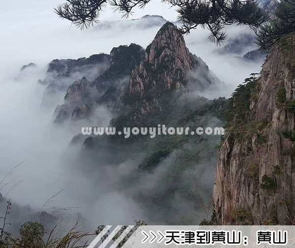 ［天津到黃山旅游團(tuán)］高鐵往返黃山三日游線路及價(jià)格