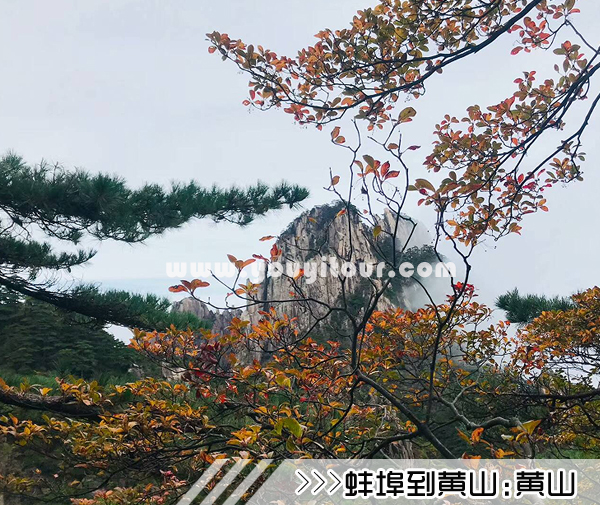 ［蚌埠到黃山旅游團］高鐵往返黃山三日游線路及價格