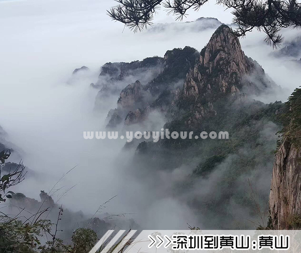［深圳到黃山旅游團(tuán)］高鐵往返黃山三日游線路及價格