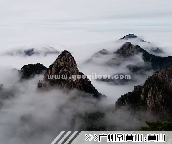 ［廣州到黃山旅游團(tuán)］高鐵往返黃山三日游線路及價(jià)格
