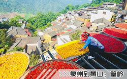 ［泉州到黃山旅游團(tuán)］高鐵往返黃山三日游線路及價格