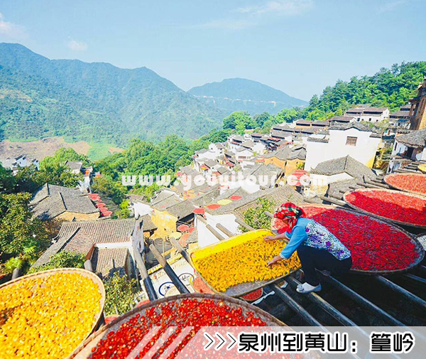 ［泉州到黃山旅游團］高鐵往返黃山三日游線路及價格