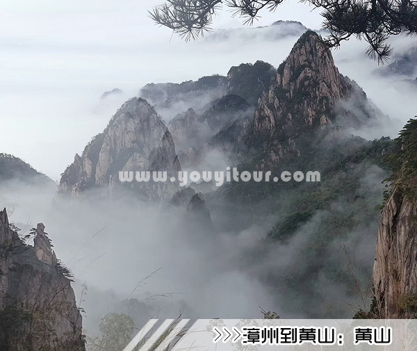 ［漳州到黃山旅游團］高鐵往返黃山四日游線路及價格