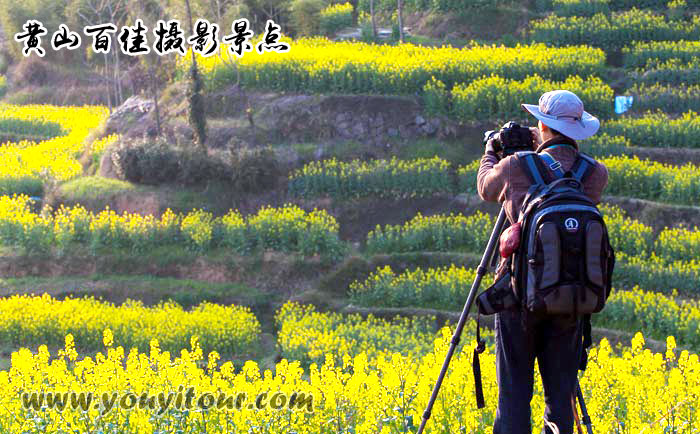 黃山旅游業(yè)助推器-黃山旅游攝影