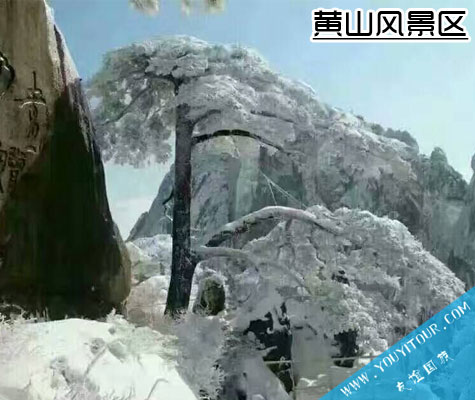 黃山風(fēng)景區(qū)-黃山友誼國際旅行社推薦必玩景點(diǎn)