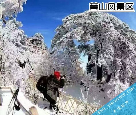 黃山風(fēng)景區(qū)-黃山友誼國際旅行社推薦必玩景點(diǎn)