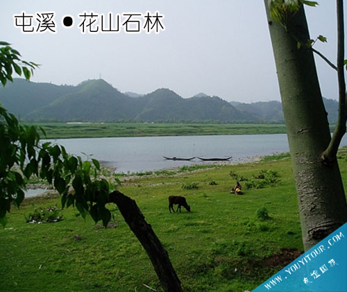 花山石林景區(qū)