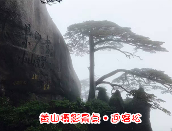 黃山旅游團攝影景點-迎客松圖片