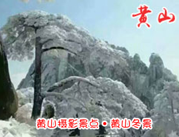 黃山旅游團-冬季黃山十大攝影景點