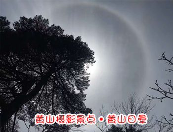 黃山旅游團攝影景點-黃山日暈圖片