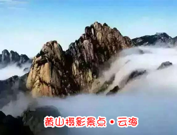 黃山旅游團攝影景點-黃山云海圖片