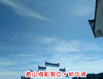 黃山旅游團(tuán)攝影景點(diǎn)-牯牛降圖片