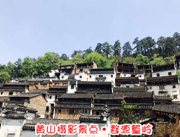 黃山旅游團(tuán)攝影點(diǎn)-婺源篁嶺圖片