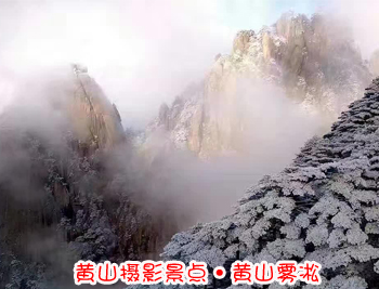 黃山旅游團(tuán)攝影-黃山霧凇圖片