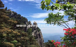 ［上海到黃山旅游團］高鐵往返黃山三日游線路及價格-「定制旅行團-當地參團」