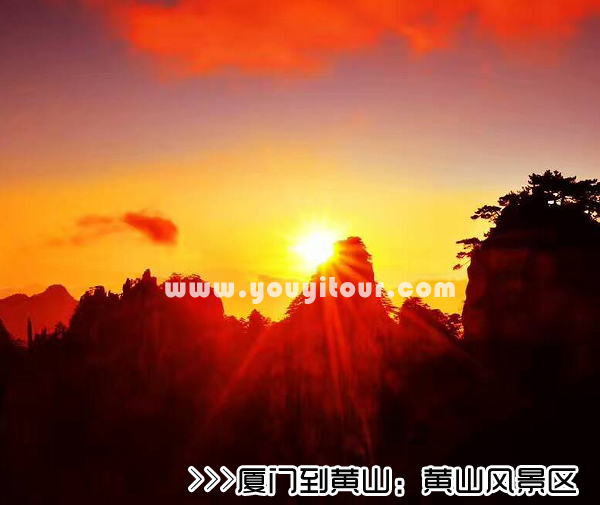 ［廈門到黃山旅游團］高鐵往返黃山三日游線路及價格「定制旅行團-當?shù)貐F」