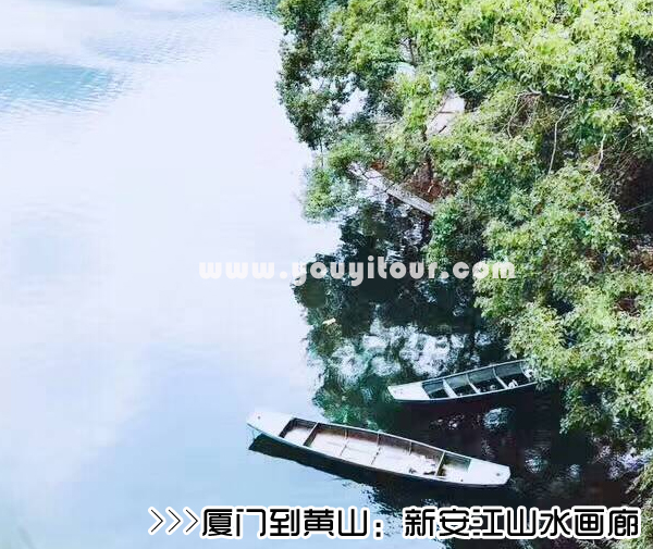 ［廈門到黃山旅游團］高鐵往返黃山三日游線路及價格「定制旅行團-當?shù)貐F」