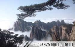 ［武漢到黃山旅游團］高鐵往返黃山三日游線路及價格「定制旅行團-當地參團」