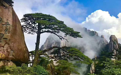 黃山門票老年人的優(yōu)惠政策