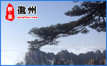 黃山特產(chǎn)-黃山毛峰-黃山旅行社