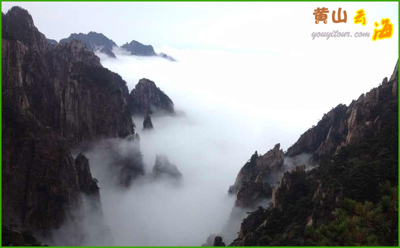 黃山四絕之黃山云海美景