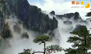 黃山四絕分別是什么？