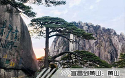 ［宜昌到黃山旅游團(tuán)］高鐵往返黃山三日游線路及價(jià)格