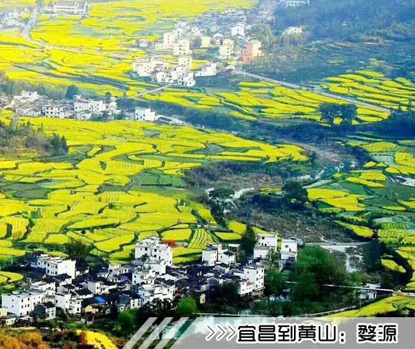 ［宜昌到黃山旅游團(tuán)］高鐵往返黃山三日游線路及價格