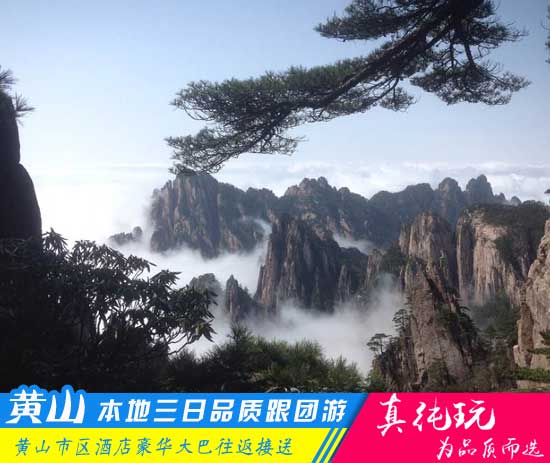 黃山三日游路線-「品質旅行團、深度品質游黃山」