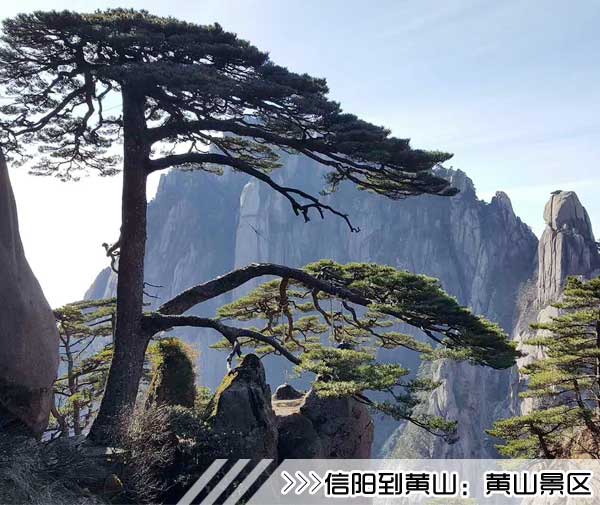 ［信陽(yáng)到黃山旅游團(tuán)］高鐵往返黃山三日游線路及價(jià)格