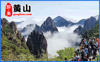 黃山特產(chǎn)-徽墨酥-黃山旅行社