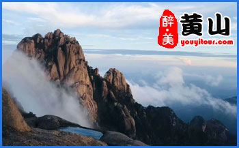 黃山地接旅行社推薦黃山特產(chǎn)-里仁香榧