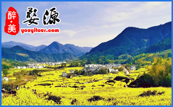 2021年「婺源門票」價格及優(yōu)惠政策