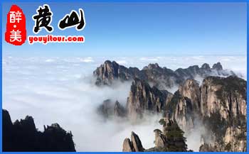 2023年黃山南大門湯口鎮(zhèn)各「停車場(chǎng)」分布、停車價(jià)格及收費(fèi)標(biāo)準(zhǔn)