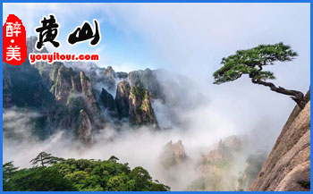 2025「黃山一日游」當?shù)馗鷪F游、參團游價格表