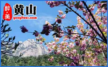 2024年「黃山風景區(qū)換乘中心」換乘價格、長途客運時刻表