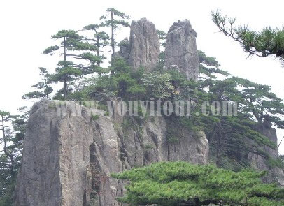 黃山旅游景點-白鵝嶺