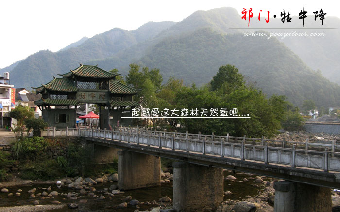 黃山旅行社向您推薦迷人的牯牛降風(fēng)景區(qū)