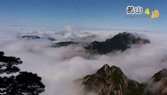 黃山旅游攻略-黃山旅行社