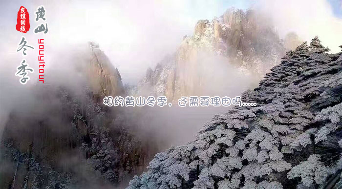 冬季游黃山的理由-黃山冬季