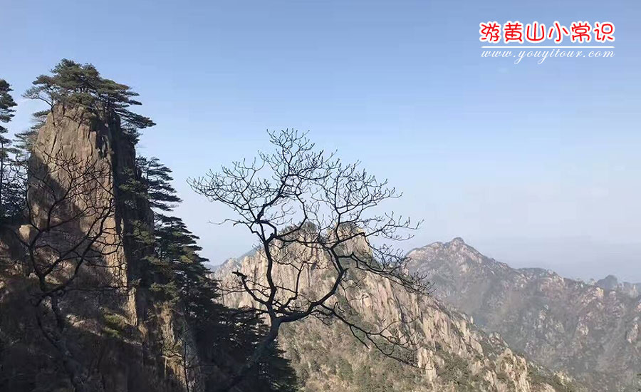 黃山旅游小常識(shí)圖四