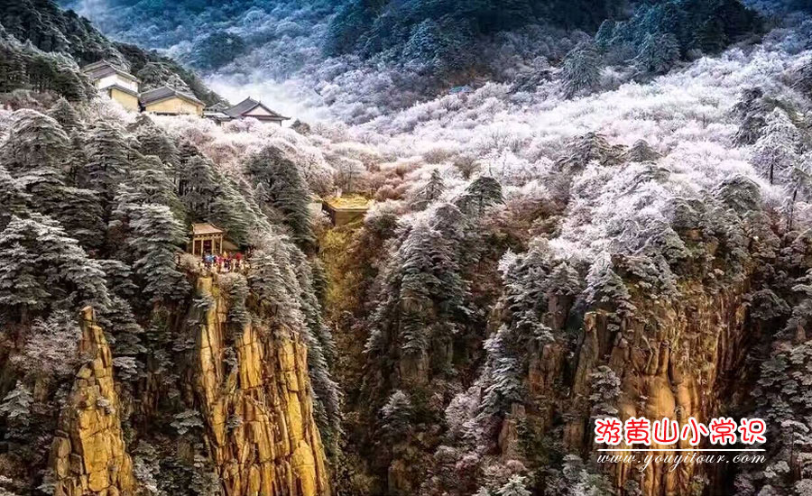 黃山旅游小常識(shí)圖六