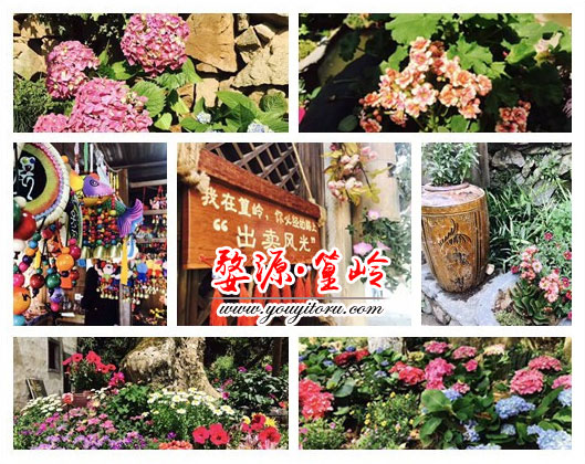 黃山旅游景點(diǎn)-婺源篁嶺等您來(lái)曬秋