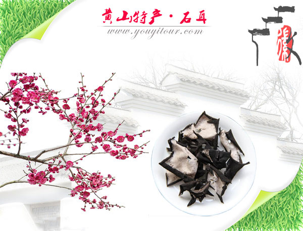 黃山特產(chǎn)-黃山石耳介紹盡在黃山地接旅行社網(wǎng)！