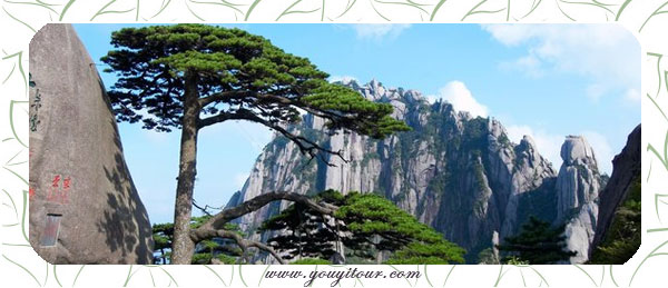 5月來(lái)黃山參加旅游跟團(tuán)吧，無(wú)數(shù)美景等您來(lái)收！