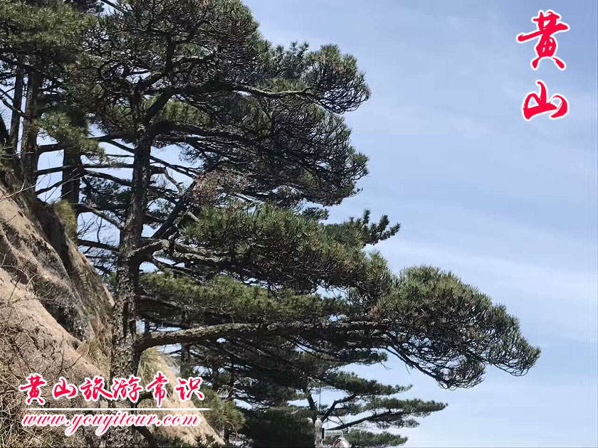 黃山是一座山嗎？