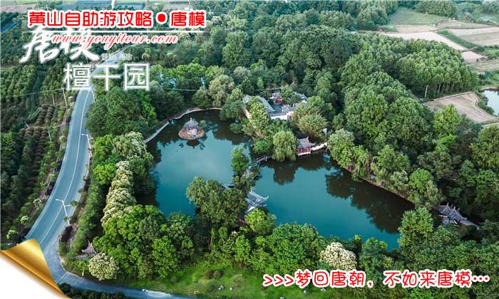 黃山自助游攻略-檀干園