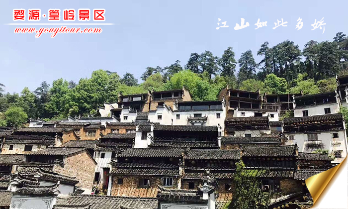 黃山旅游團(tuán)攝影圖片之婺源篁嶺圖片