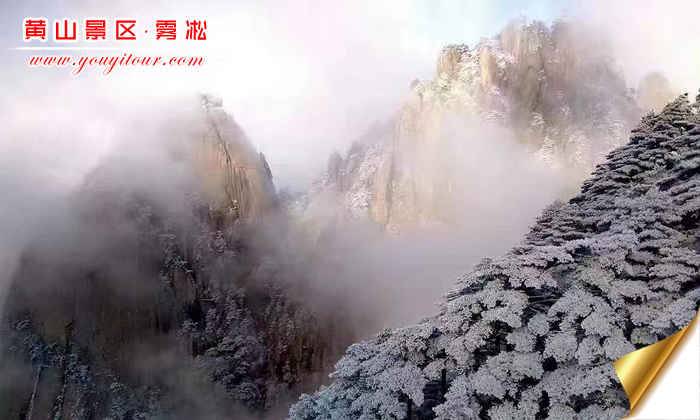 黃山旅游團攝影之最美霧凇圖片介紹