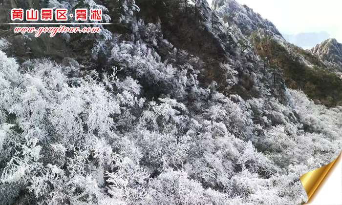 找黃山旅游團最美的攝影圖片，推薦冬季來黃山拍霧凇吧！